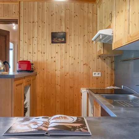 Spacious Nest Overlooking The Mont Blanc Range Chamonix